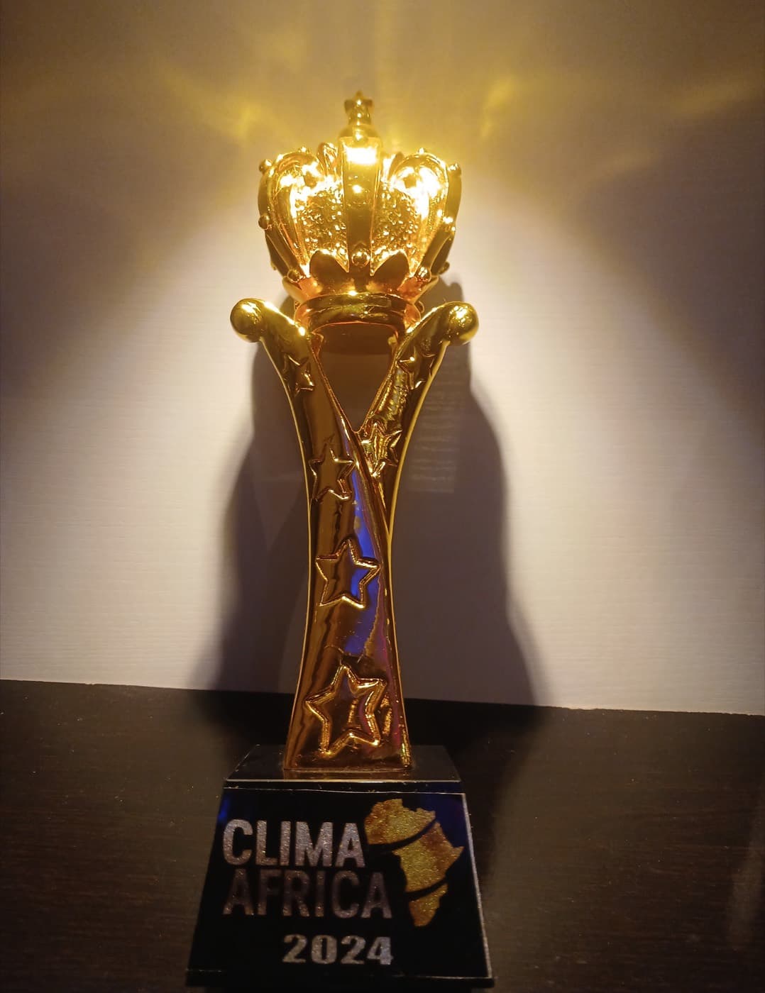 Clima Africa 2024 gold crown trophy awarded to Minister Lilian Nneji